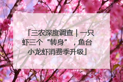 三农深度调查｜一只虾三个“转身”，鱼台小龙虾消费季升级
