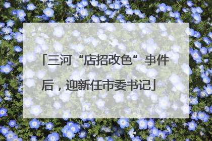 三河“店招改色”事件后，迎新任市委书记