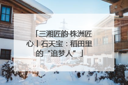 三湘匠韵·株洲匠心丨石天宝：稻田里的“追梦人”