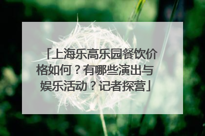 上海乐高乐园餐饮价格如何？有哪些演出与娱乐活动？记者探营
