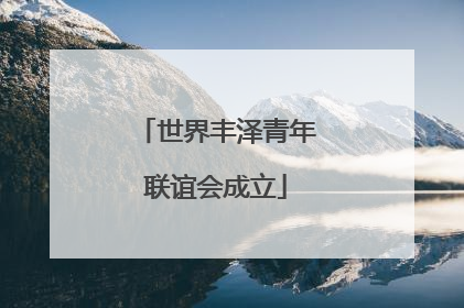世界丰泽青年联谊会成立