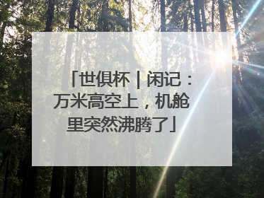 世俱杯｜闲记：万米高空上，机舱里突然沸腾了