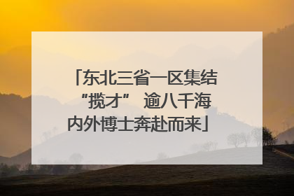 东北三省一区集结“揽才” 逾八千海内外博士奔赴而来