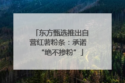 东方甄选推出自营红薯粉条：承诺“绝不掺粉”