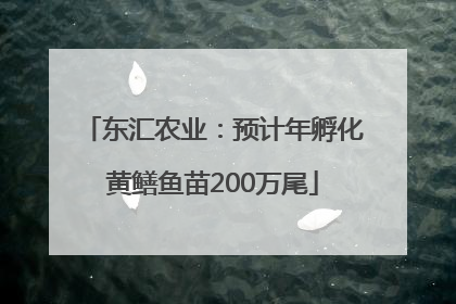 东汇农业：预计年孵化黄鳝鱼苗200万尾