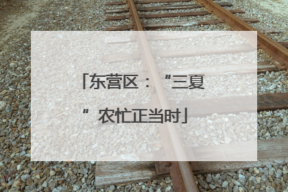 东营区：“三夏”农忙正当时