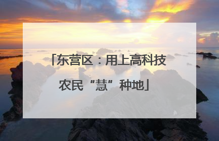 东营区：用上高科技 农民“慧”种地