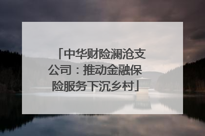 中华财险澜沧支公司：推动金融保险服务下沉乡村