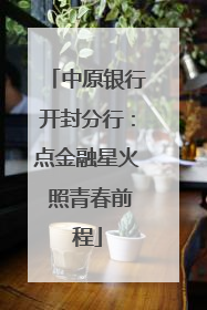 中原银行开封分行：点金融星火 照青春前程