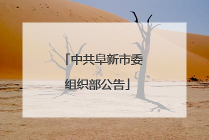 中共阜新市委组织部公告