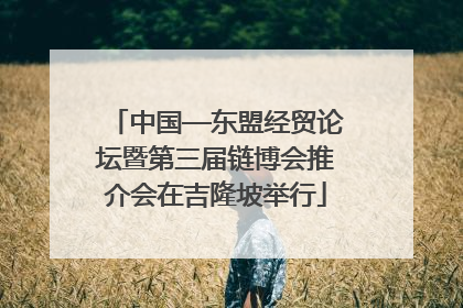 中国—东盟经贸论坛暨第三届链博会推介会在吉隆坡举行