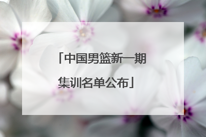 中国男篮新一期集训名单公布