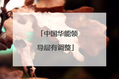 中国华能领导层有调整