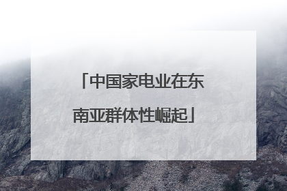 中国家电业在东南亚群体性崛起