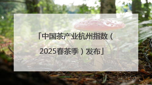 中国茶产业杭州指数（2025春茶季）发布