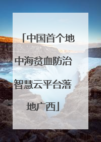 中国首个地中海贫血防治智慧云平台落地广西