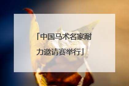 中国马术名家耐力邀请赛举行
