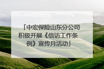 中宏保险山东分公司积极开展《信访工作条例》宣传月活动