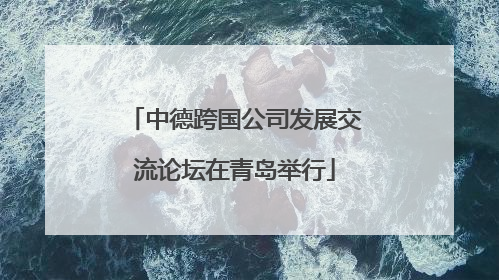 中德跨国公司发展交流论坛在青岛举行