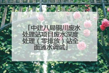 中建八局铜川废水处理站项目废水深度处理（零排放）站全面通水调试