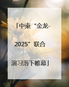 中柬“金龙-2025”联合演习落下帷幕