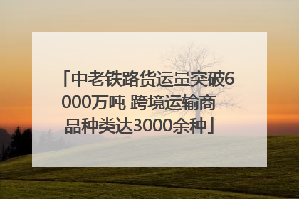 中老铁路货运量突破6000万吨 跨境运输商品种类达3000余种