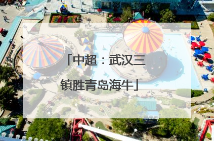 中超：武汉三镇胜青岛海牛