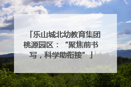 乐山城北幼教育集团桃源园区：“聚焦前书写，科学助衔接”