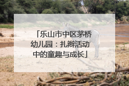 乐山市中区茅桥幼儿园：扎辫活动中的童趣与成长