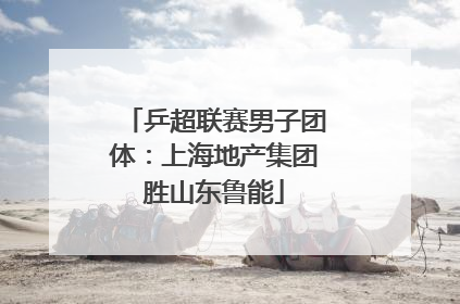 乒超联赛男子团体：上海地产集团胜山东鲁能
