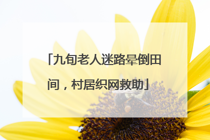 九旬老人迷路晕倒田间，村居织网救助