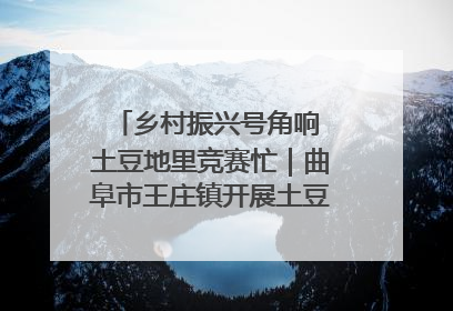乡村振兴号角响 土豆地里竞赛忙｜曲阜市王庄镇开展土豆收获劳动竞赛