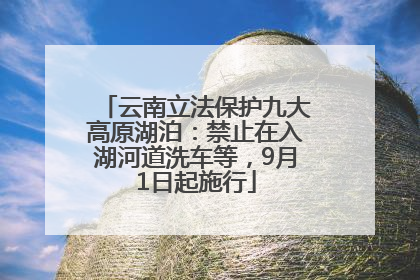 云南立法保护九大高原湖泊：禁止在入湖河道洗车等，9月1日起施行