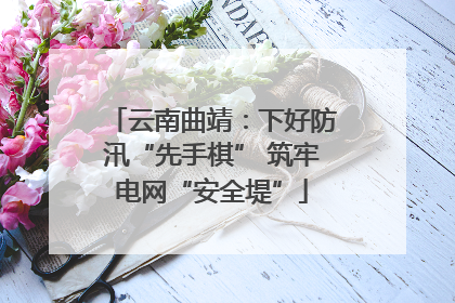 云南曲靖：下好防汛“先手棋” 筑牢电网“安全堤”