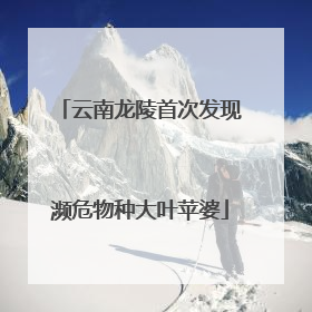 云南龙陵首次发现濒危物种大叶苹婆