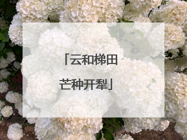 云和梯田 芒种开犁