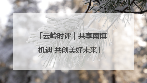 云岭时评｜共享南博机遇 共创美好未来