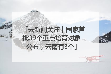 云新闻关注｜国家首批39个重点培育对象公布，云南有3个