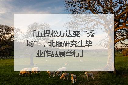 五棵松万达变“秀场”，北服研究生毕业作品展举行