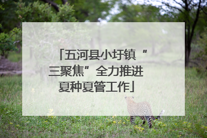 五河县小圩镇“三聚焦”全力推进夏种夏管工作
