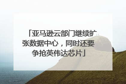 亚马逊云部门继续扩张数据中心，同时还要争抢英伟达芯片