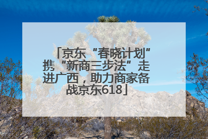 京东“春晓计划”携“新商三步法”走进广西，助力商家备战京东618
