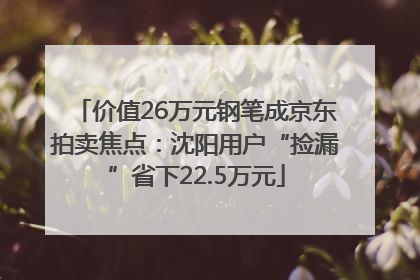 价值26万元钢笔成京东拍卖焦点：沈阳用户“捡漏”省下22.5万元