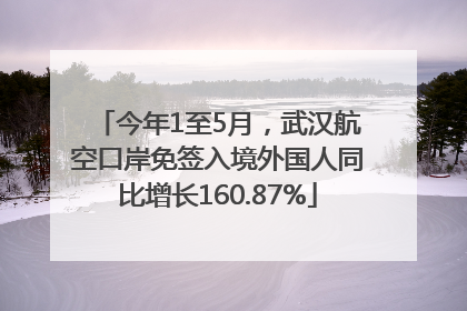 今年1至5月，武汉航空口岸免签入境外国人同比增长160.87%