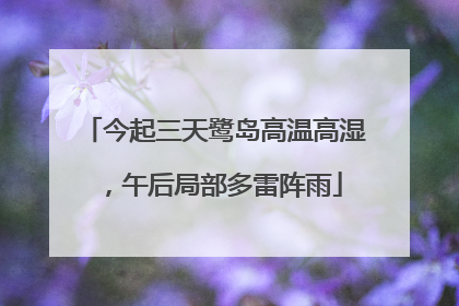 今起三天鹭岛高温高湿，午后局部多雷阵雨