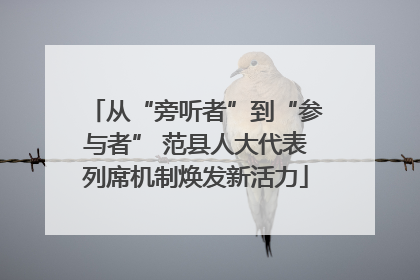 从“旁听者”到“参与者” 范县人大代表列席机制焕发新活力