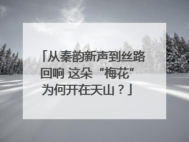 从秦韵新声到丝路回响 这朵“梅花”为何开在天山？