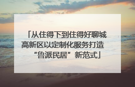从住得下到住得好聊城高新区以定制化服务打造“鲁派民居”新范式