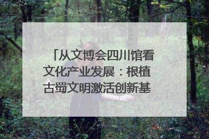 从文博会四川馆看文化产业发展：根植古蜀文明激活创新基因｜文博向“新”