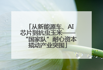 从新能源车、AI芯片到抗虫玉米——“国家队”耐心资本撬动产业突围